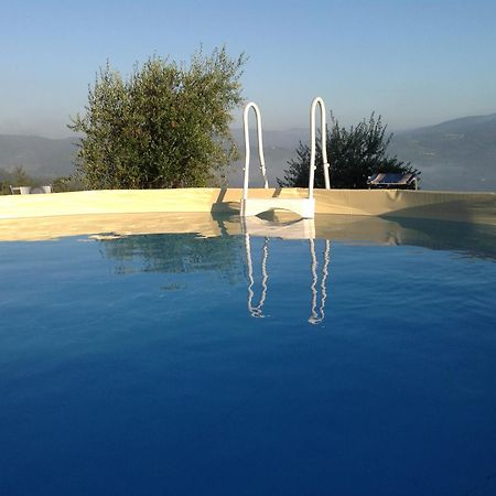 Agriturismo Prato Barone Rufina Zewnętrze zdjęcie