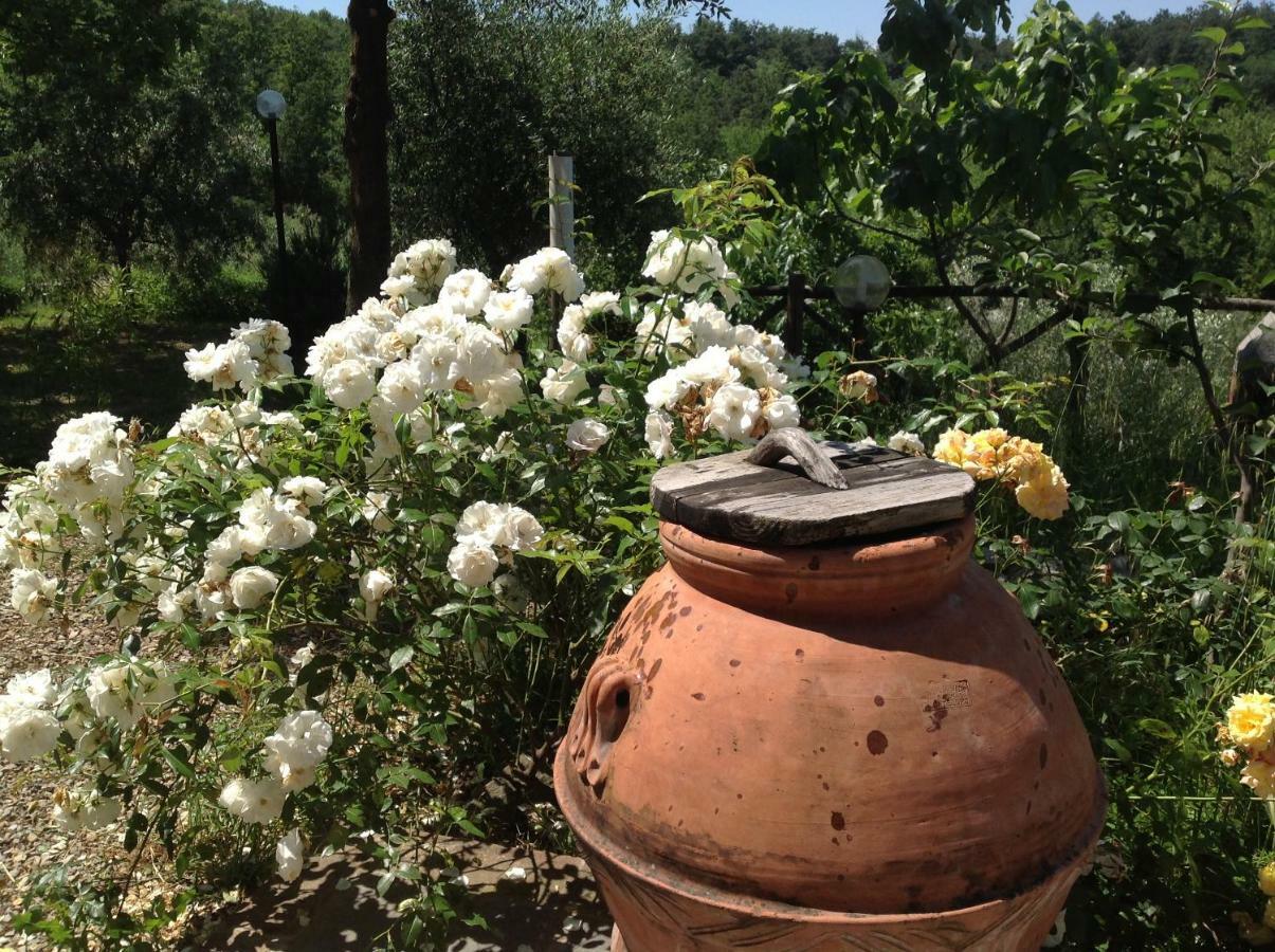 Agriturismo Prato Barone Rufina Zewnętrze zdjęcie