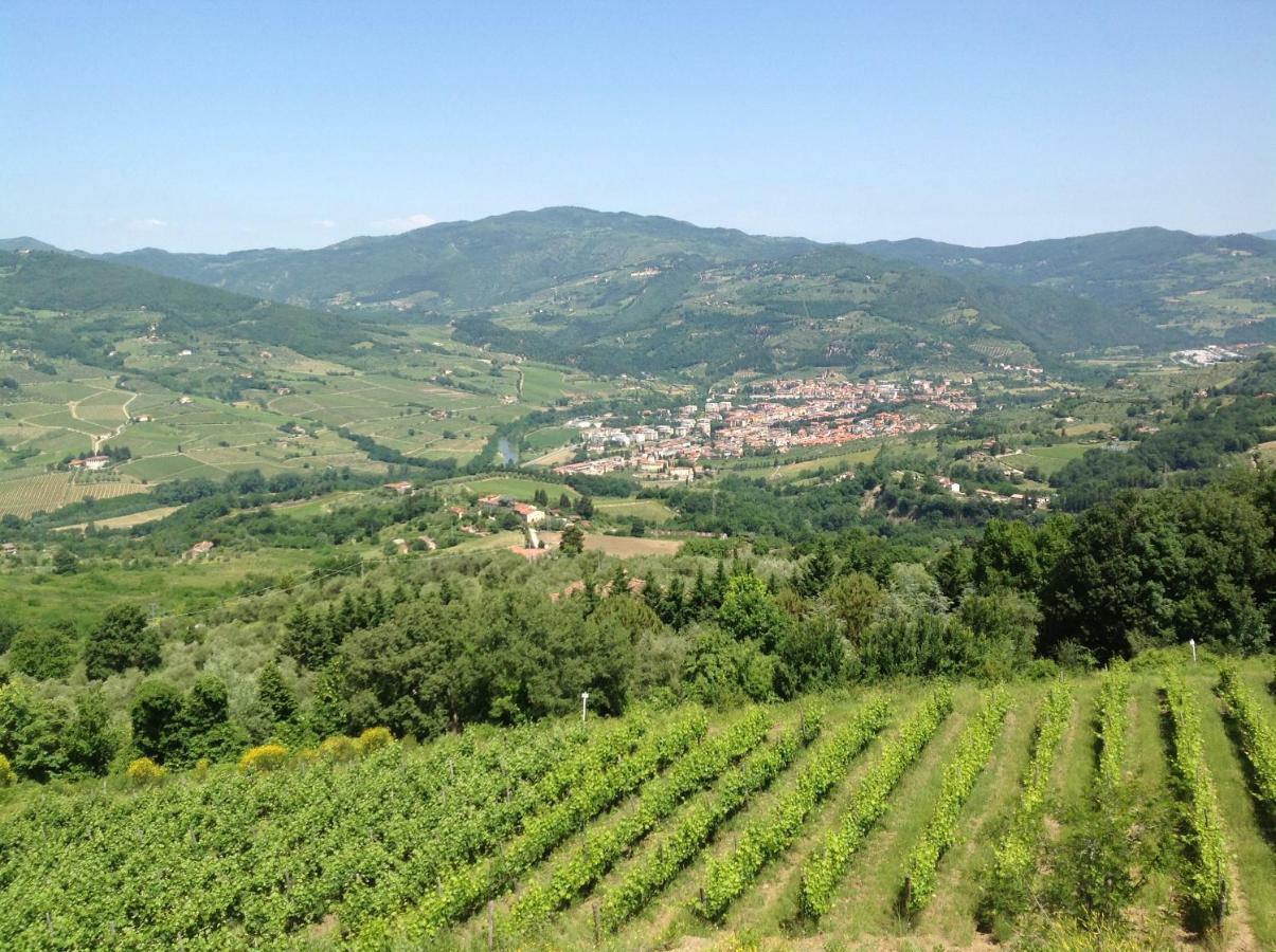 Agriturismo Prato Barone Rufina Zewnętrze zdjęcie